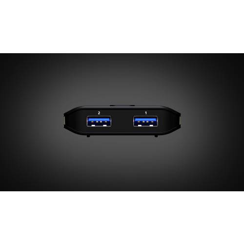 2-portowy przełącznik US4322 porty wejście